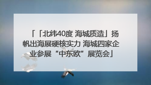 「北纬40度 海城质造」扬帆出海展硬核实力 海城四家企业参展“中东欧”展览会