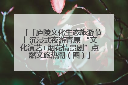 「庐陵文化生态旅游节」沉浸式夜游青原 “文化演艺+烟花情景剧”点燃文旅热潮（图）