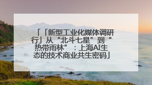「新型工业化媒体调研行」从“北斗七星”到“热带雨林”：上海AI生态的技术商业共生密码