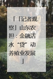 「记者观察」山东农担：金融活水“贷”动养殖业发展