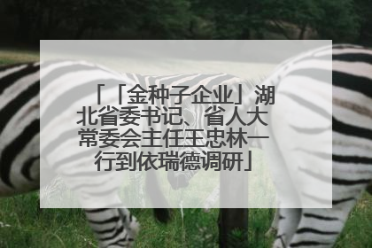「金种子企业」湖北省委书记、省人大常委会主任王忠林一行到依瑞德调研