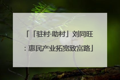 「驻村·助村」刘同旺：惠民产业拓宽致富路