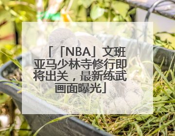 「NBA」文班亚马少林寺修行即将出关，最新练武画面曝光