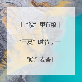 “皖”里有粮｜“三夏”时节，一“皖”麦香
