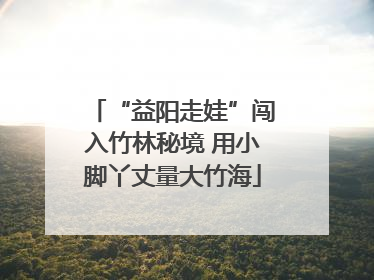 “益阳走娃”闯入竹林秘境 用小脚丫丈量大竹海
