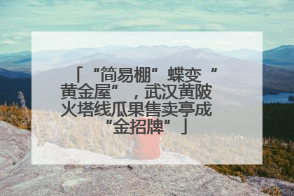 “简易棚”蝶变“黄金屋”，武汉黄陂火塔线瓜果售卖亭成“金招牌”