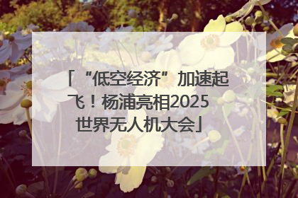 “低空经济”加速起飞！杨浦亮相2025世界无人机大会