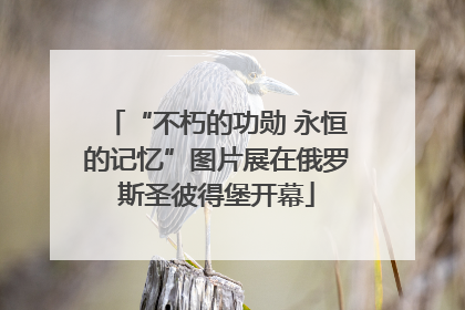 “不朽的功勋 永恒的记忆”图片展在俄罗斯圣彼得堡开幕