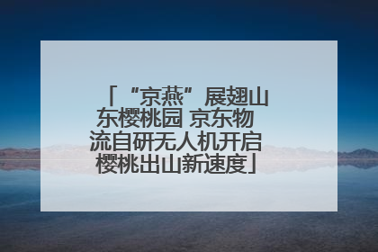 “京燕”展翅山东樱桃园 京东物流自研无人机开启樱桃出山新速度
