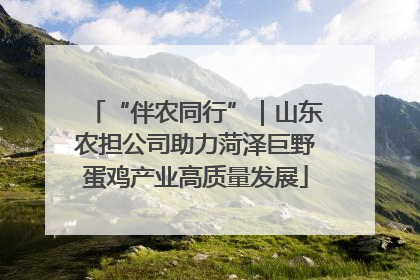 “伴农同行”｜山东农担公司助力菏泽巨野蛋鸡产业高质量发展
