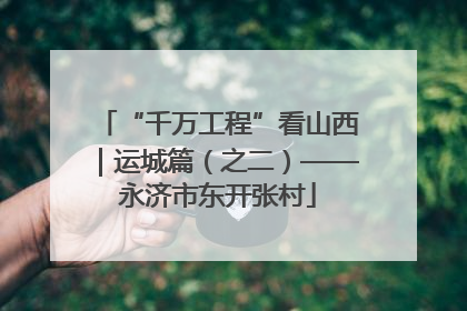 “千万工程”看山西｜运城篇（之二）——永济市东开张村