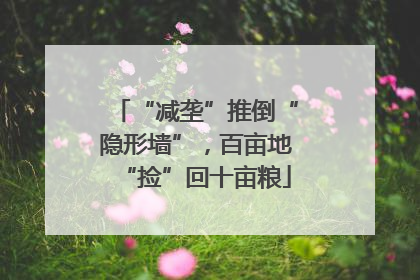 “减垄”推倒“隐形墙”，百亩地“捡”回十亩粮