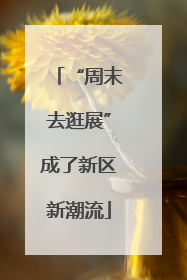 “周末去逛展”成了新区新潮流