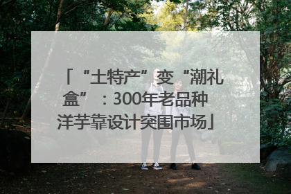 “土特产”变“潮礼盒”：300年老品种洋芋靠设计突围市场