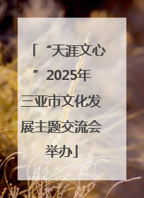 “天涯文心”2025年三亚市文化发展主题交流会举办