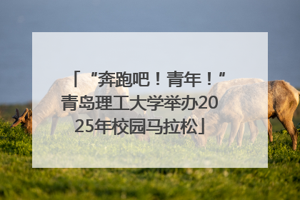“奔跑吧！青年！”青岛理工大学举办2025年校园马拉松
