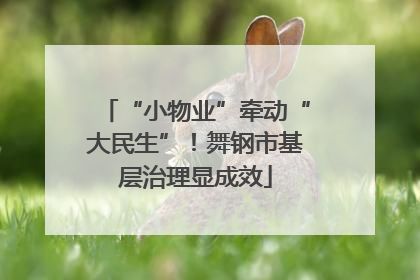 “小物业”牵动“大民生”！舞钢市基层治理显成效