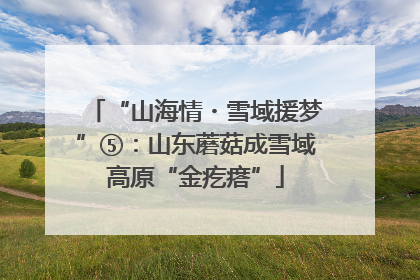 “山海情・雪域援梦”⑤：山东蘑菇成雪域高原“金疙瘩”