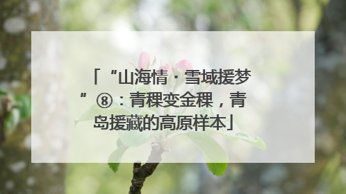 “山海情・雪域援梦”⑧：青稞变金稞，青岛援藏的高原样本