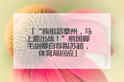 “我祖籍泰州，马上能出战！”前国脚毛剑卿自荐踢苏超，体育局回应