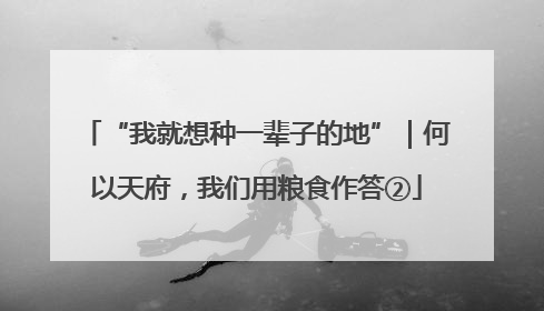 “我就想种一辈子的地”｜何以天府，我们用粮食作答②