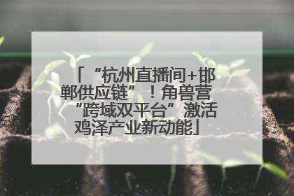 “杭州直播间+邯郸供应链”！角兽营“跨域双平台”激活鸡泽产业新动能