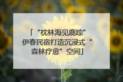 “枕林海见鹿踪” 伊春民宿打造沉浸式“森林疗愈”空间