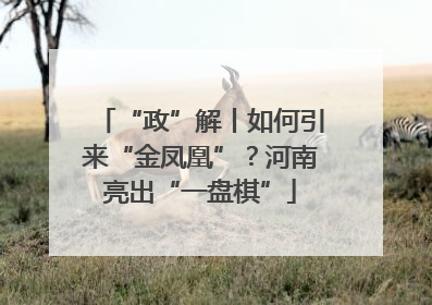 “政”解丨如何引来“金凤凰”？河南亮出“一盘棋”