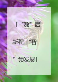 “数”启新程 “智”领发展