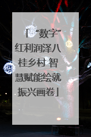 “数字”红利润泽八桂乡村 智慧赋能绘就振兴画卷