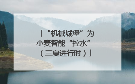 “机械城堡”为小麦智能“控水”（三夏进行时）