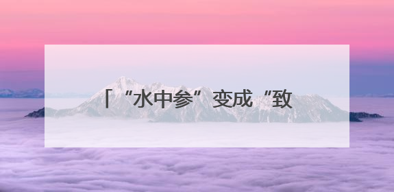 “水中参”变成“致富宝” 南漳八泉村千亩茭白喜获丰收