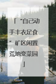 “自己动手丰衣足食”矿区闲置荒地变菜园