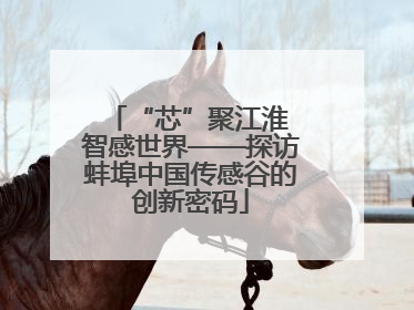 “芯”聚江淮 智感世界——探访蚌埠中国传感谷的创新密码