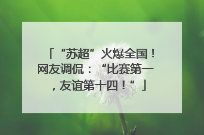 “苏超”火爆全国！网友调侃：“比赛第一，友谊第十四！”
