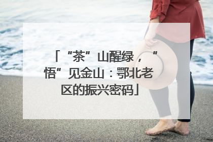 “茶”山醒绿，“悟”见金山：鄂北老区的振兴密码