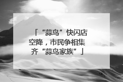 “蒜鸟”快闪店空降，市民争相集齐“蒜鸟家族”