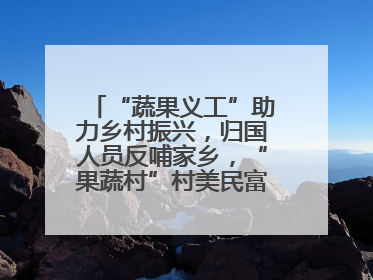 “蔬果义工”助力乡村振兴，归国人员反哺家乡，“果蔬村”村美民富香飘远近