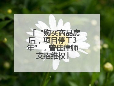 “购买商品房后，项目停工3年”，曾佳律师支招维权