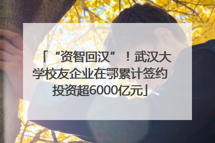 “资智回汉”！武汉大学校友企业在鄂累计签约投资超6000亿元