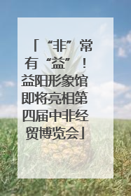 “非”常有“益”！益阳形象馆即将亮相第四届中非经贸博览会