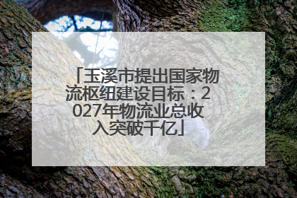 玉溪市提出国家物流枢纽建设目标：2027年物流业总收入突破千亿