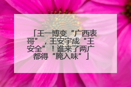 王一博变“广西表哥”，王安宇成“王安全”！谁来了两广都得“腌入味”