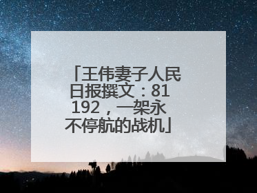 王伟妻子人民日报撰文：81192，一架永不停航的战机