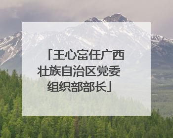 王心富任广西壮族自治区党委组织部部长