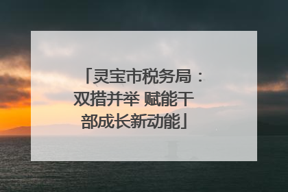 灵宝市税务局：双措并举 赋能干部成长新动能