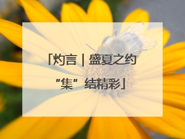 灼言｜盛夏之约 “集”结精彩