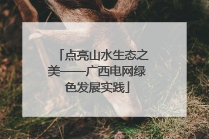 点亮山水生态之美——广西电网绿色发展实践