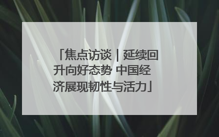 焦点访谈｜延续回升向好态势 中国经济展现韧性与活力