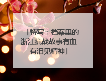 特写：档案里的浙江抗战故事有血有泪见精神